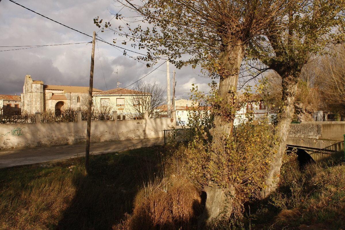 Fotografía de la galería de imágenes con id: 847